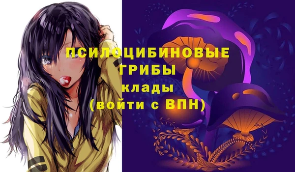 apvp Алексеевка