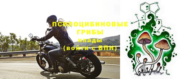 дмт Алексин
