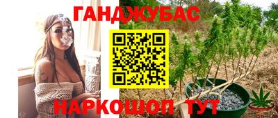 круглые Лесосибирск