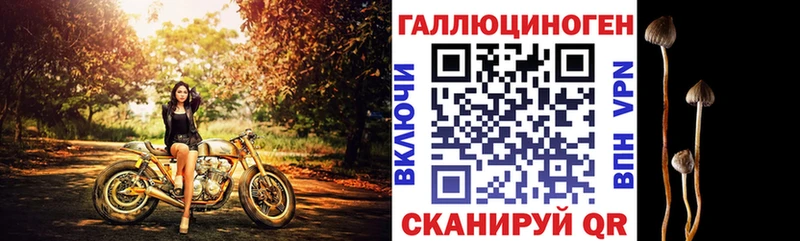 Псилоцибиновые грибы Psilocybe  дарнет шоп  Киров 