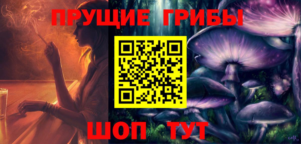 Псилоцибиновые грибы GOLDEN TEACHER  Вход с VPN  Киров 